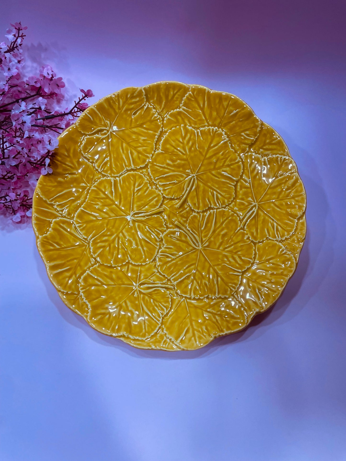 Plato Llano Geraneo Risado