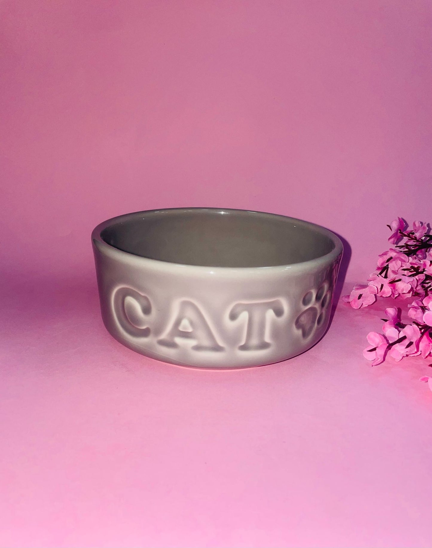 Bowl Cat