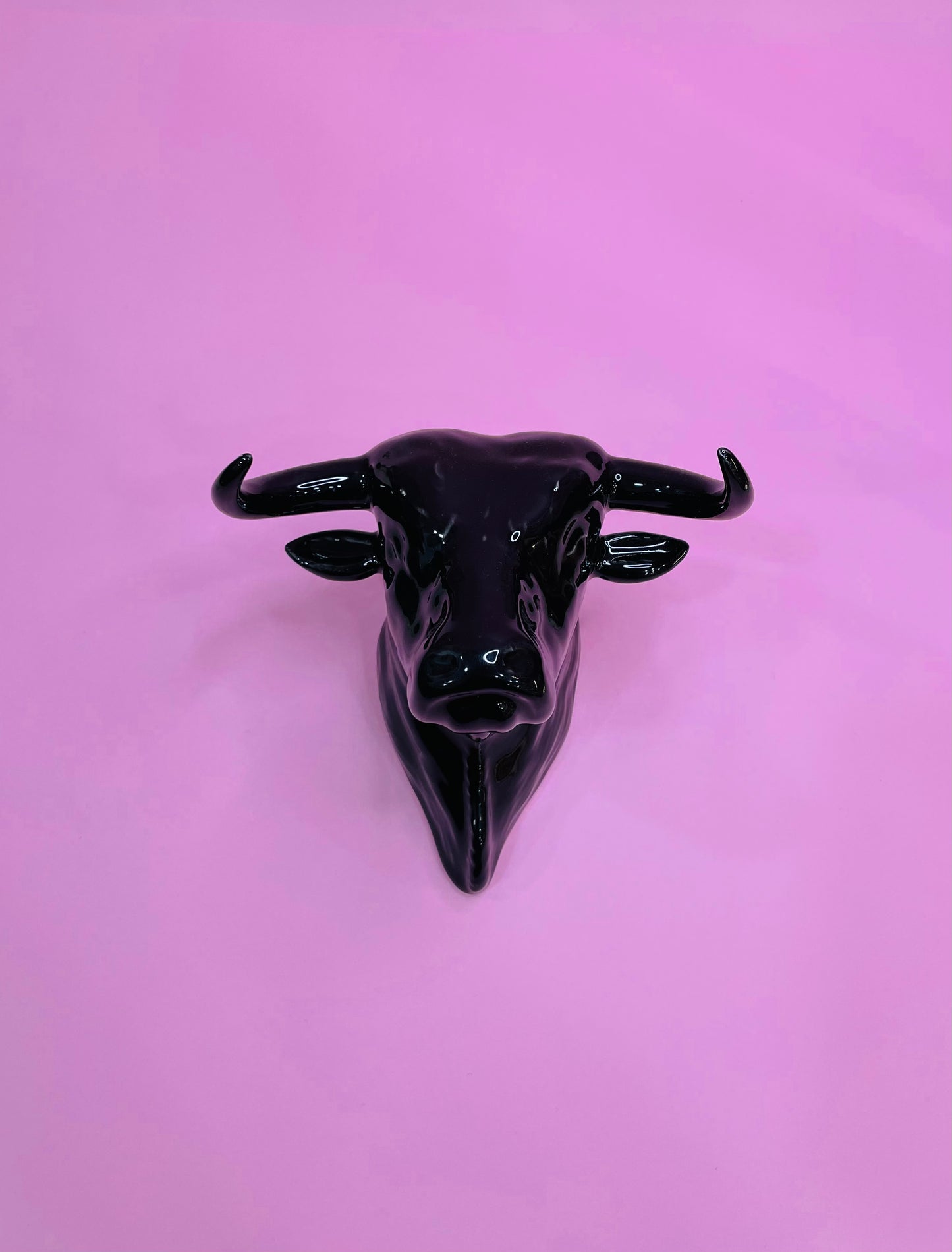 Figura de Cabeza de Toro II, en Cerámica