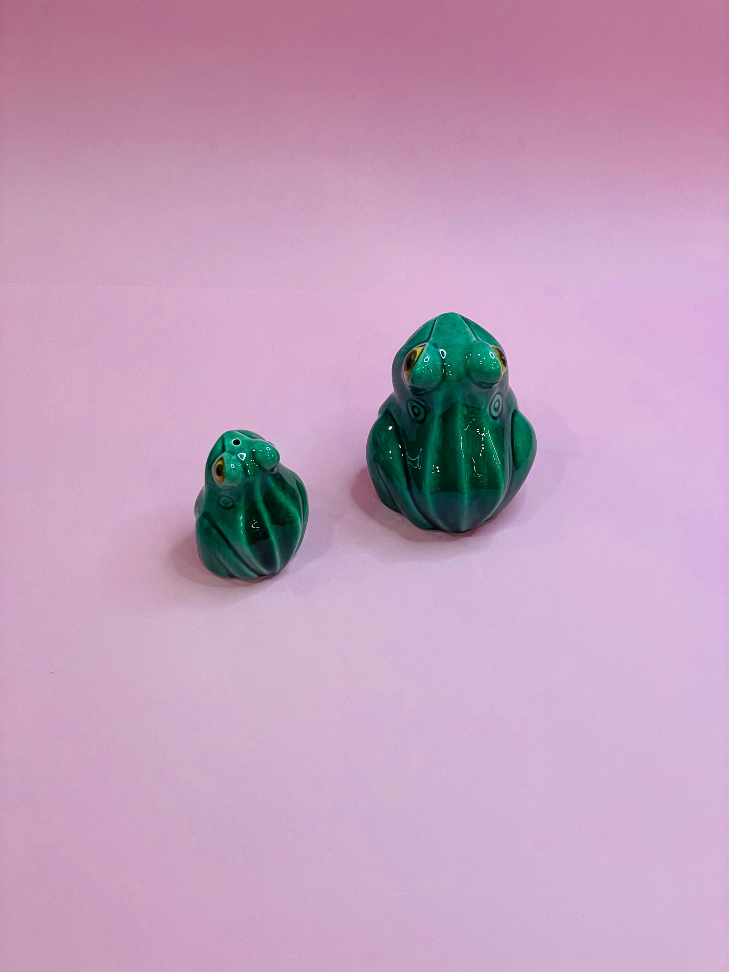 Figura Sapo Amazónico en Cerámica