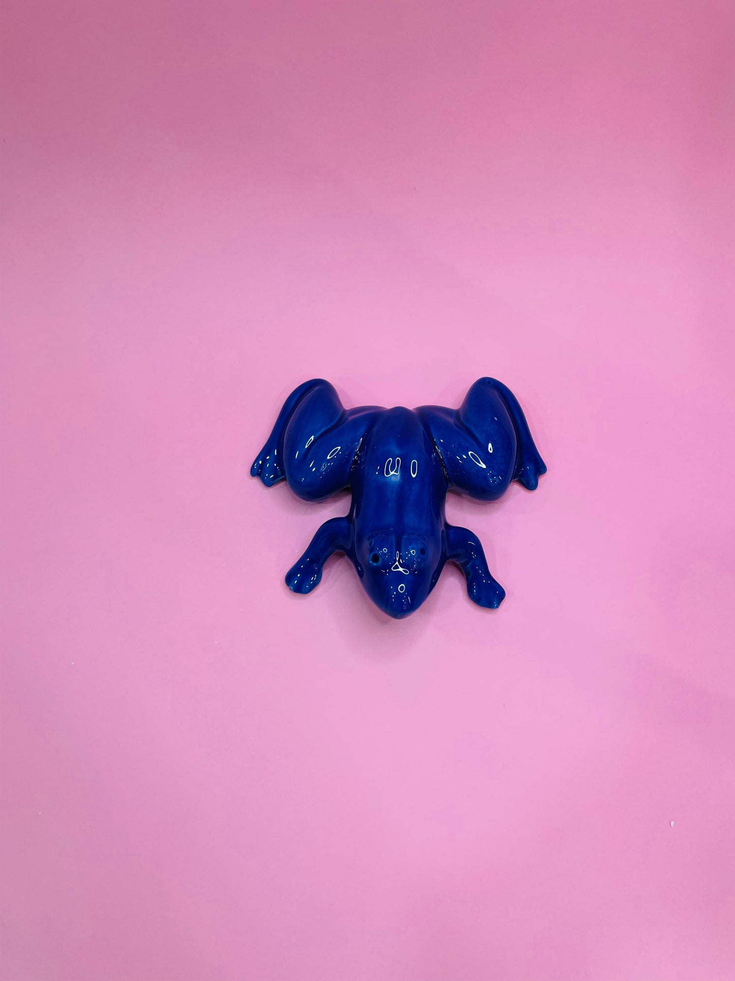 Figura de Rana Tropical en Cerámica