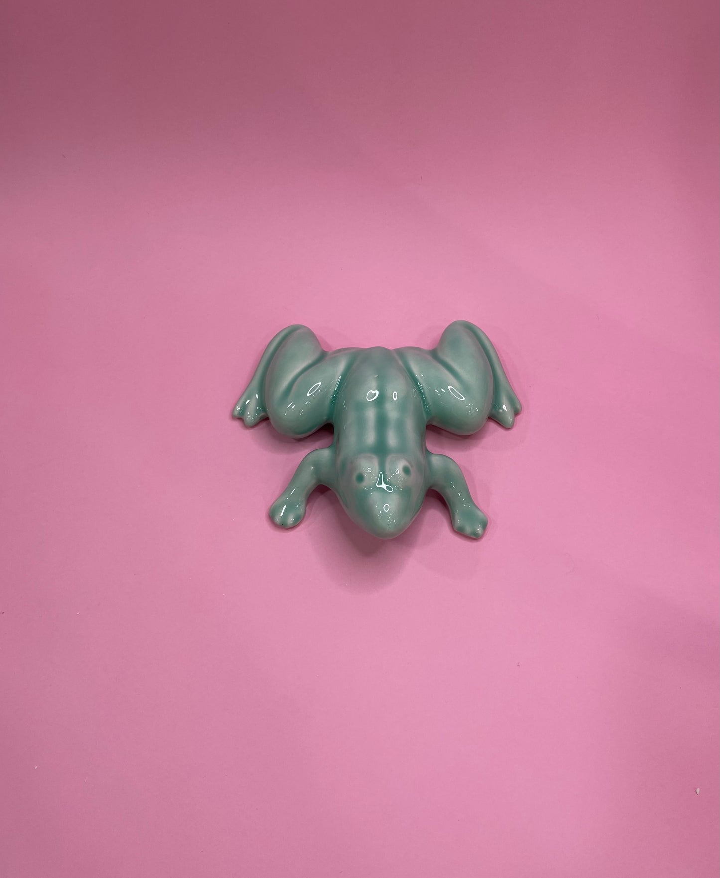 Figura de Rana Tropical en Cerámica