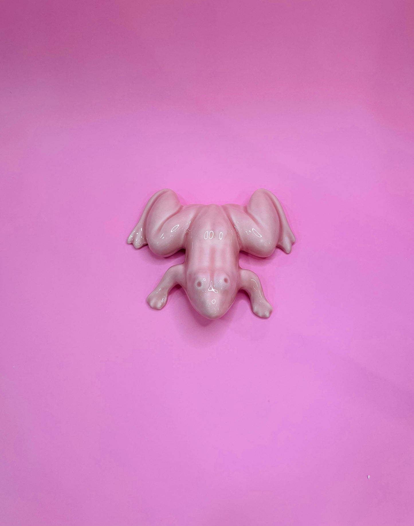 Figura de Rana Tropical en Cerámica