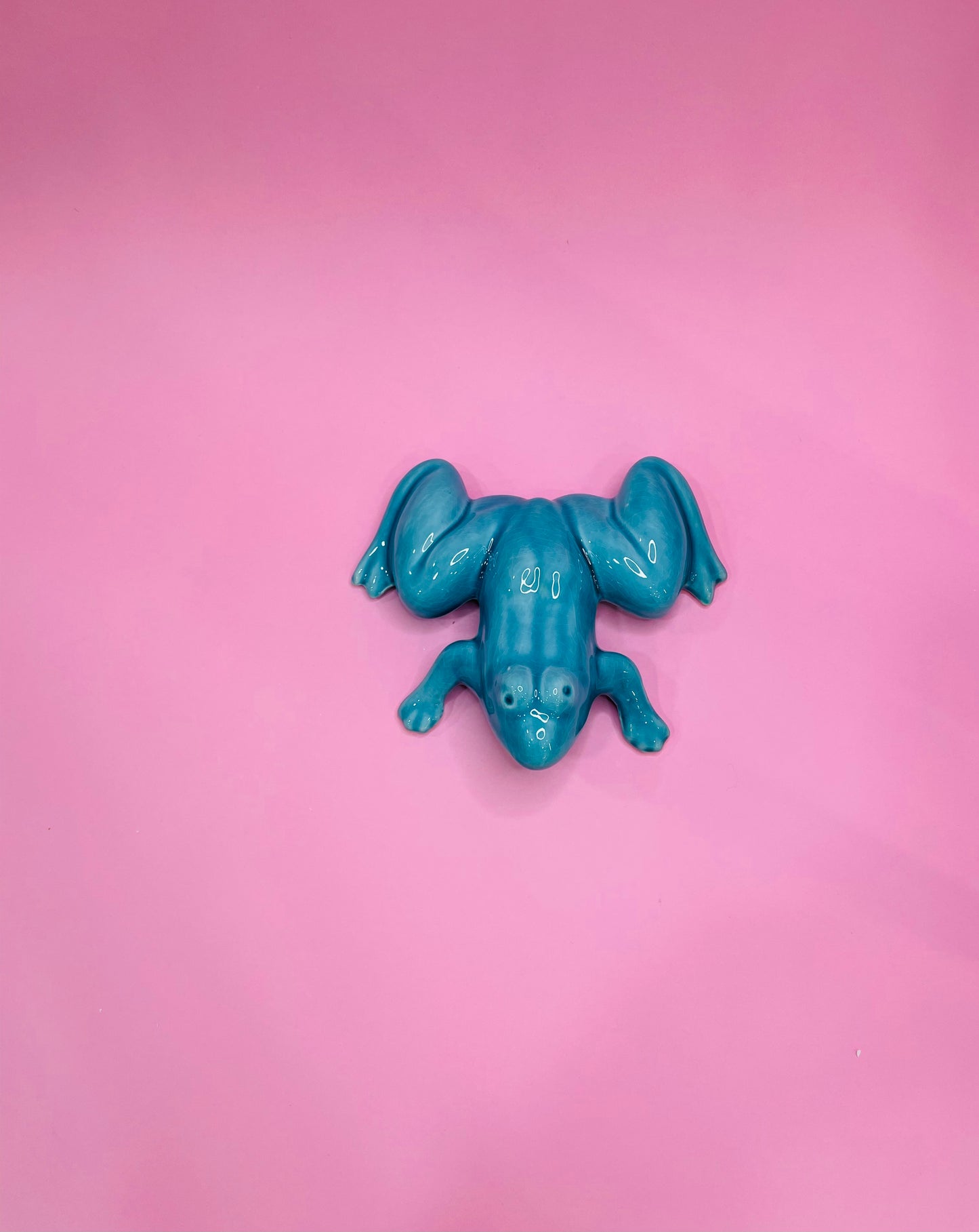 Figura de Rana Tropical en Cerámica