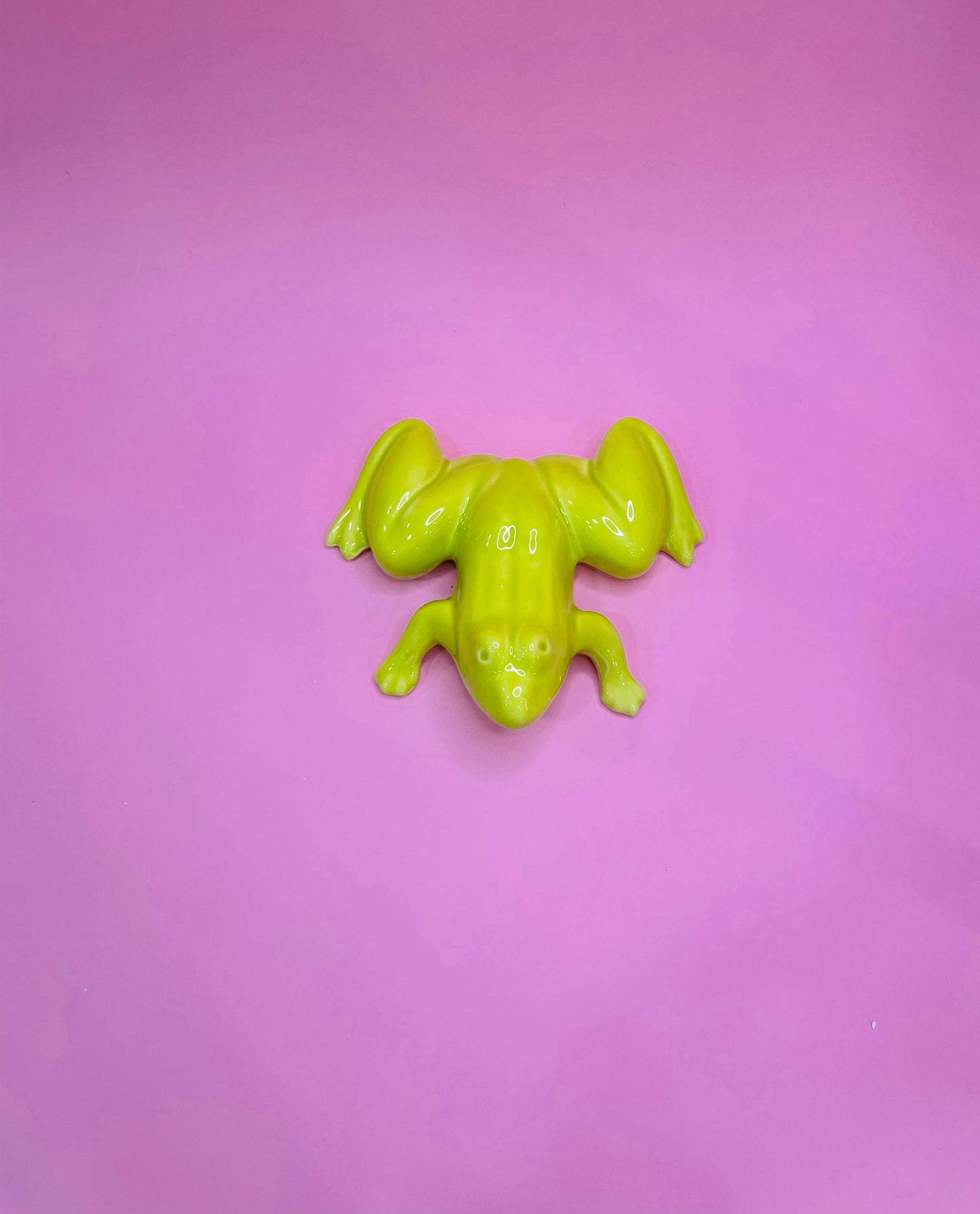 Figura de Rana Tropical en Cerámica