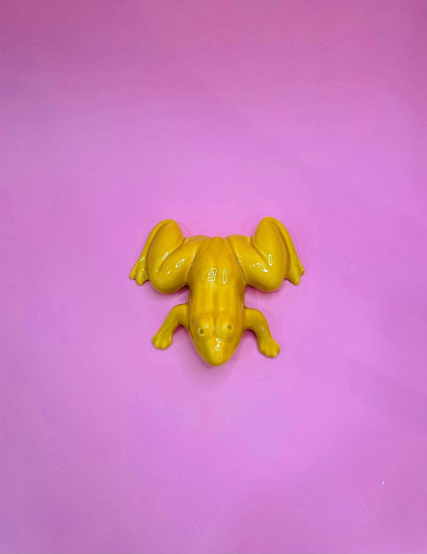Figura de Rana Tropical en Cerámica