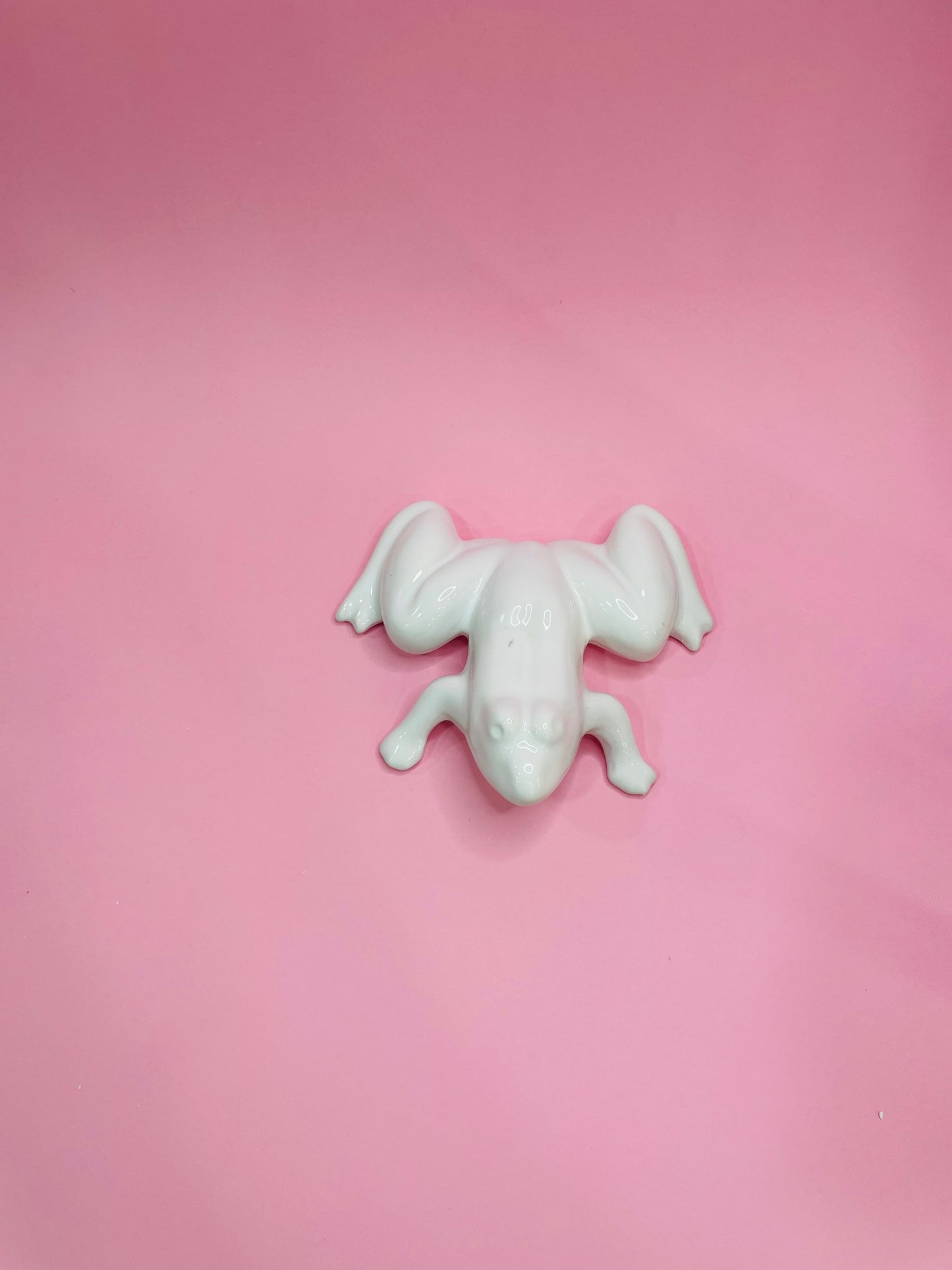 Figura de Rana Tropical en Cerámica