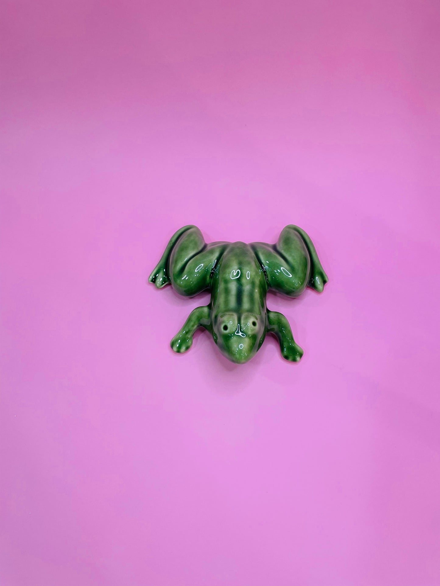 Figura de Rana Tropical en Cerámica