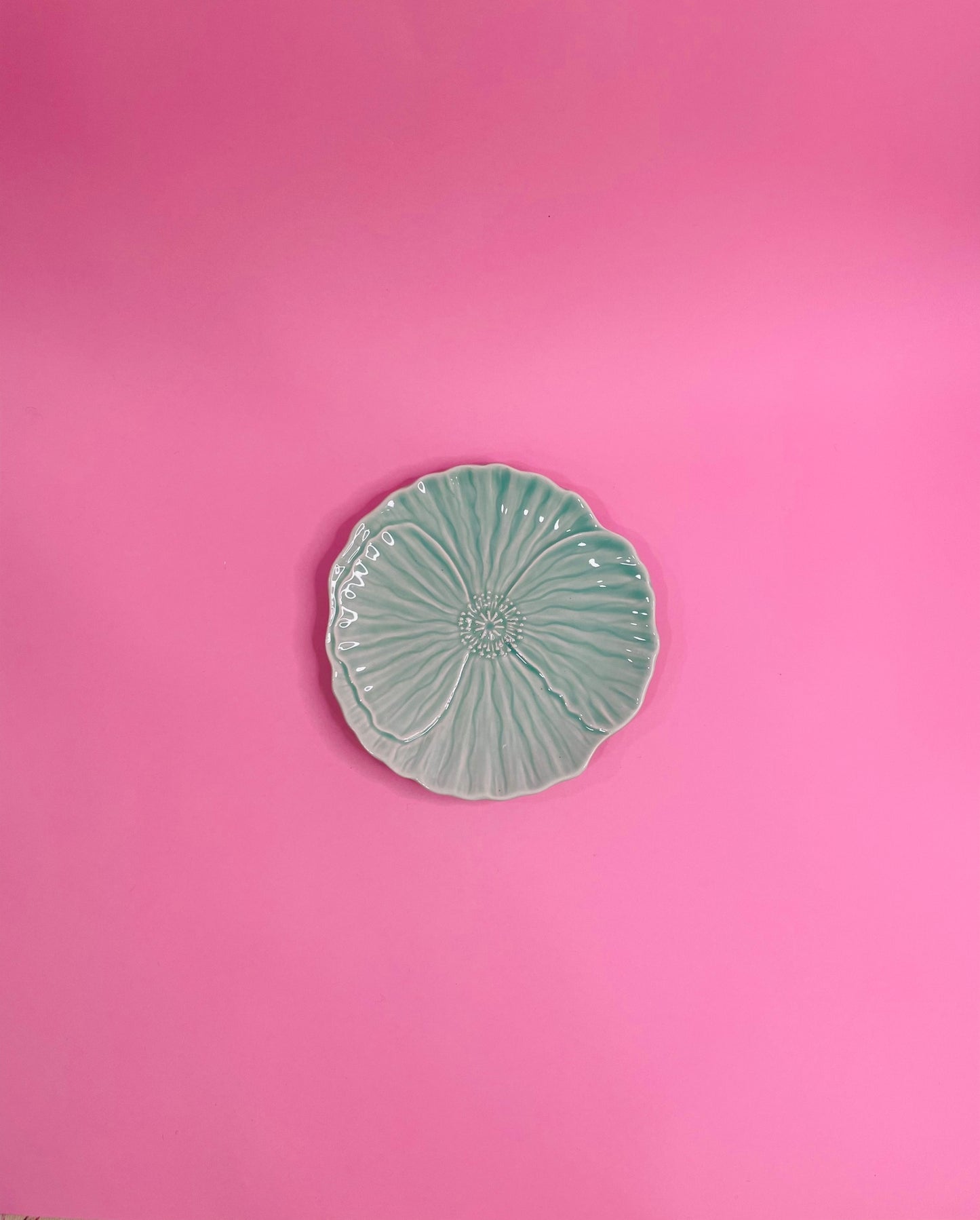 Plato Pan Flor Prímula