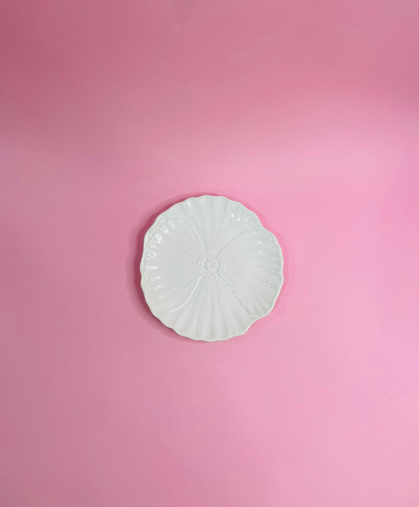 Plato Pan Flor Prímula