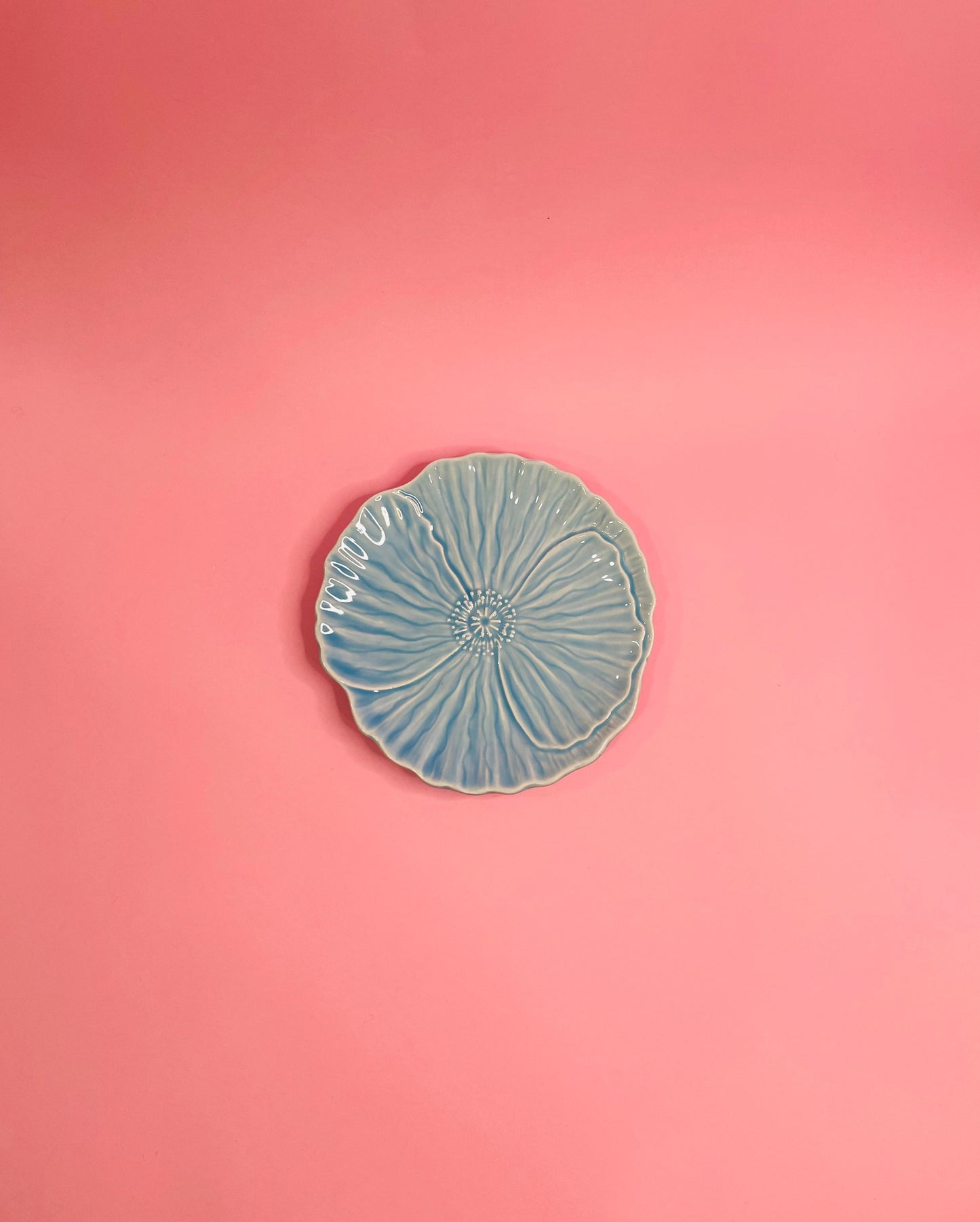 Plato Pan Flor Prímula
