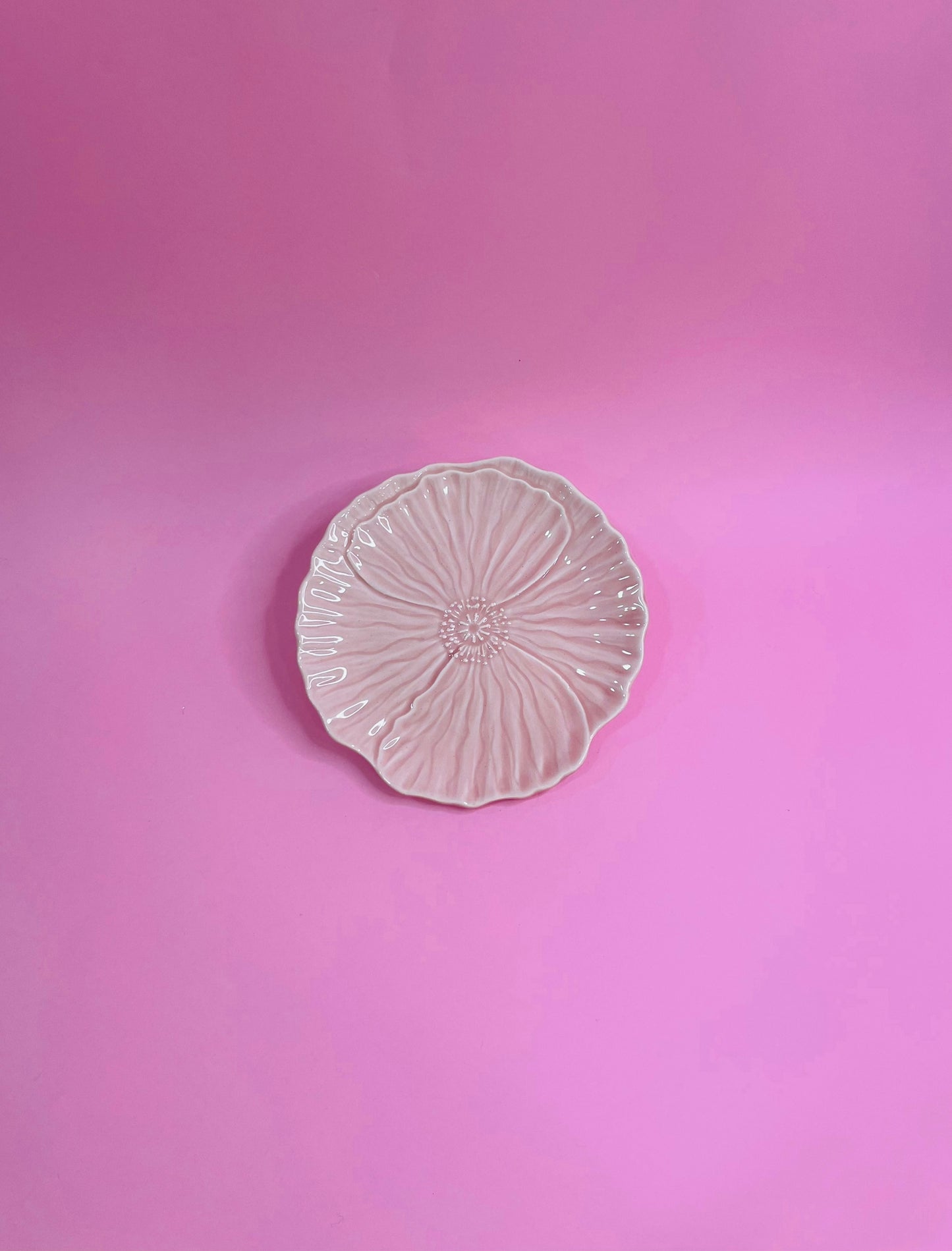 Plato Pan Flor Prímula