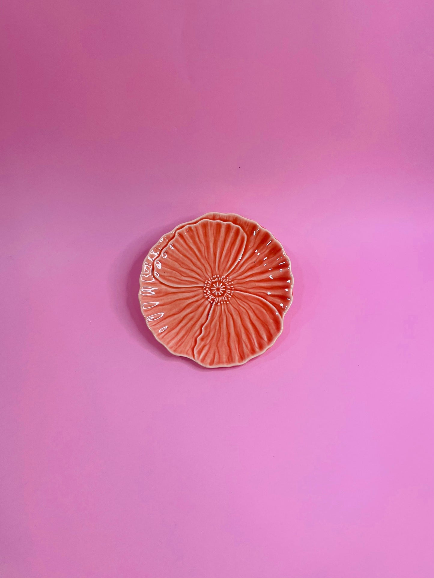 Plato Pan Flor Prímula