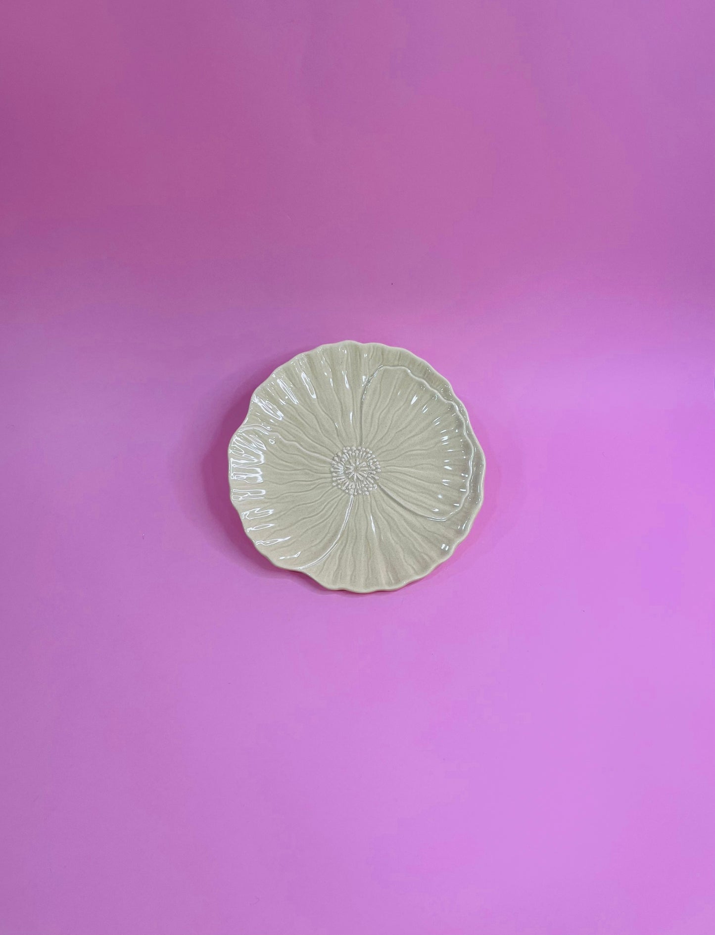 Plato Pan Flor Prímula