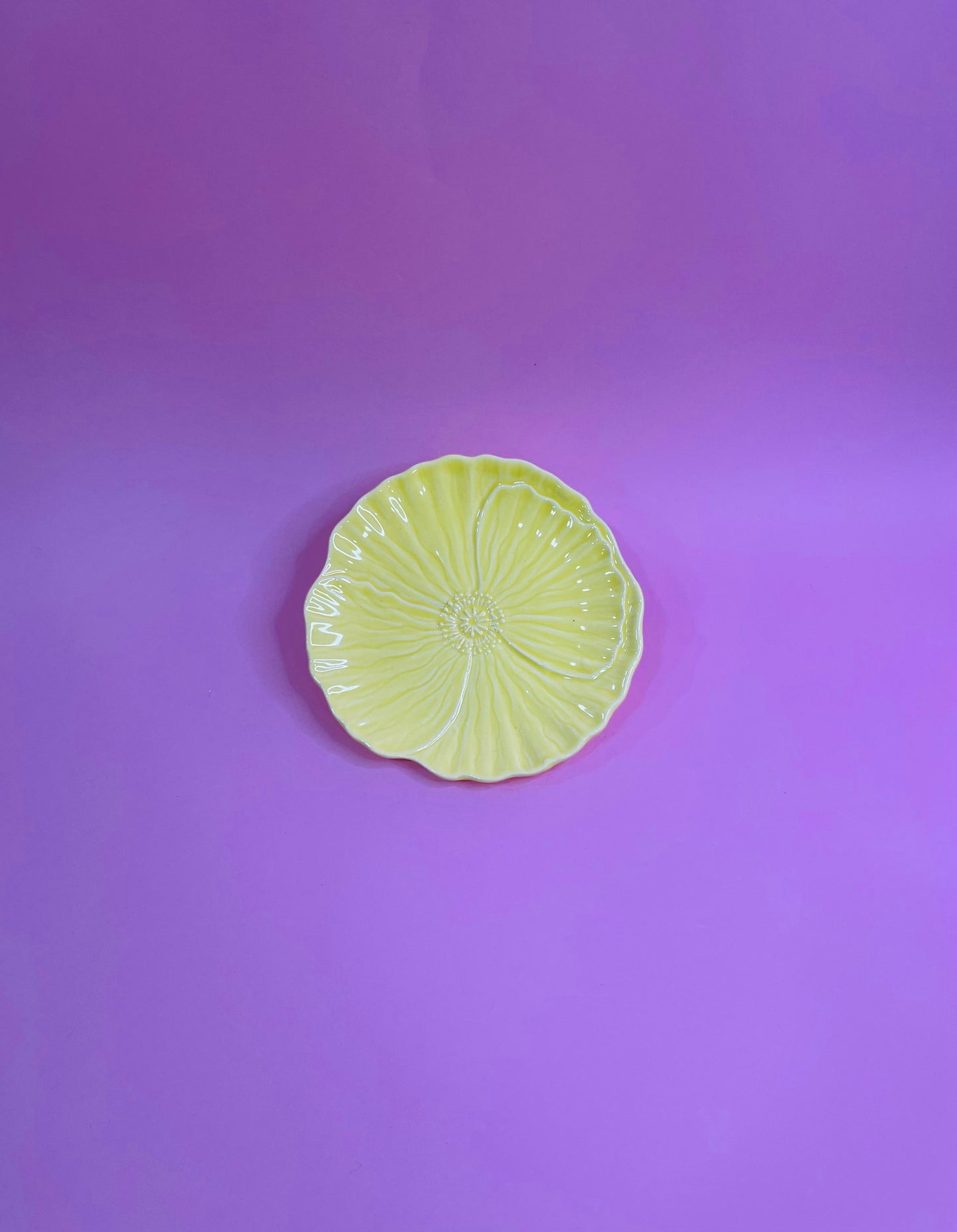 Plato Pan Flor Prímula