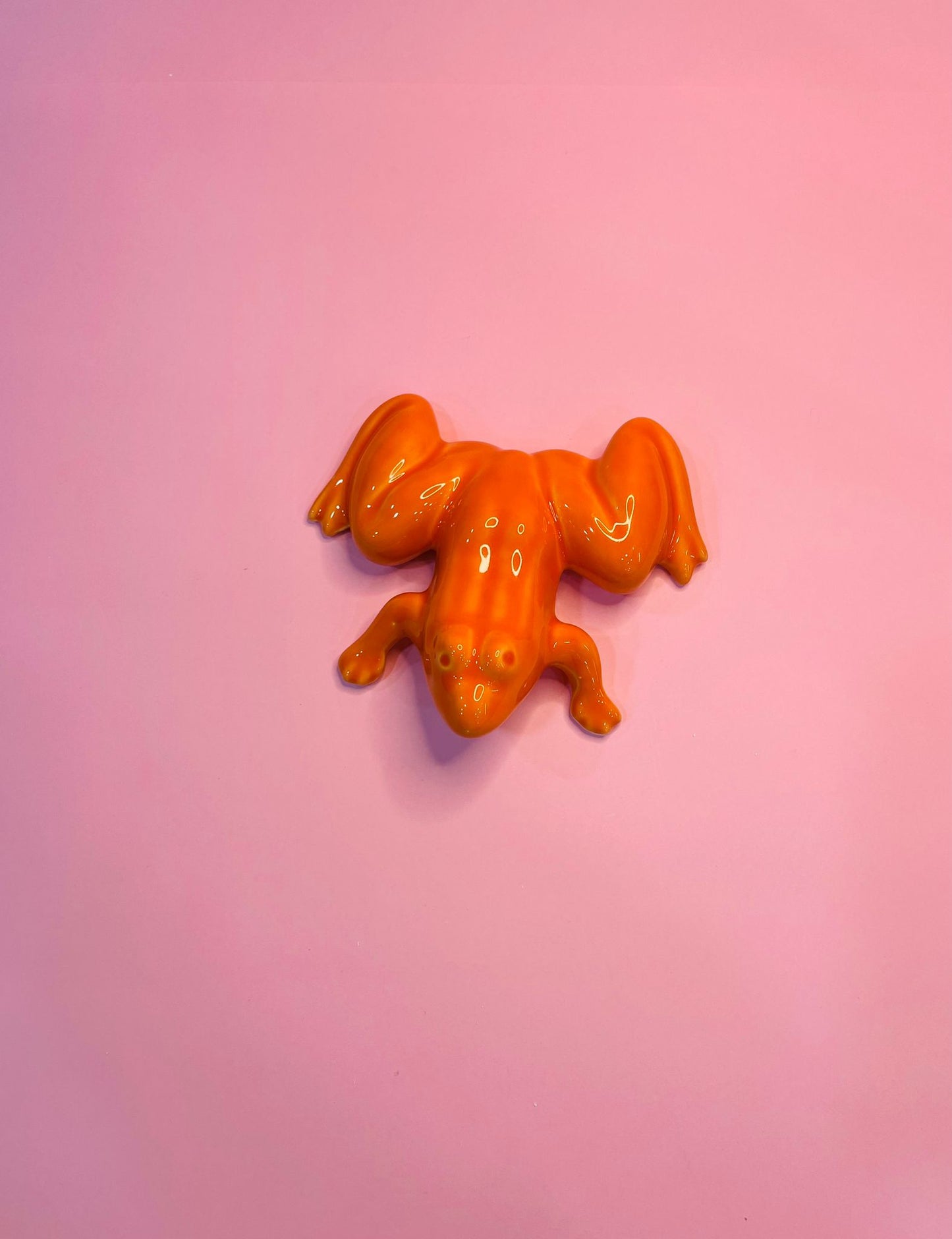 Figura de Rana Tropical en Cerámica