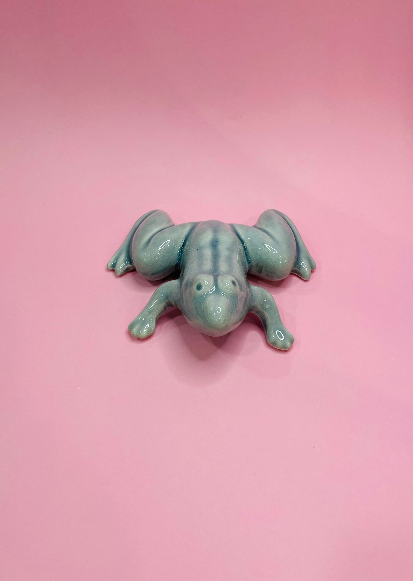 Figura de Rana Tropical en Cerámica