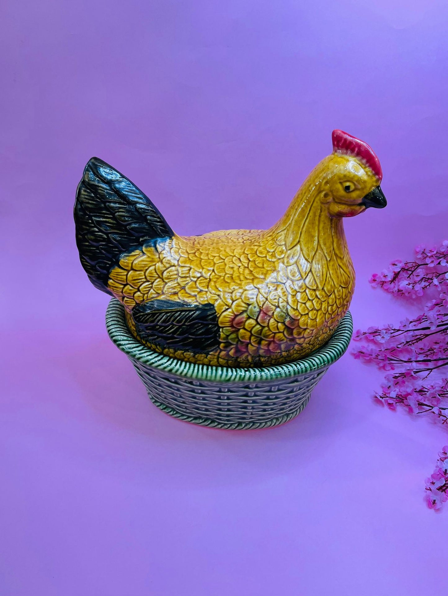 Gallina Huevera Grande