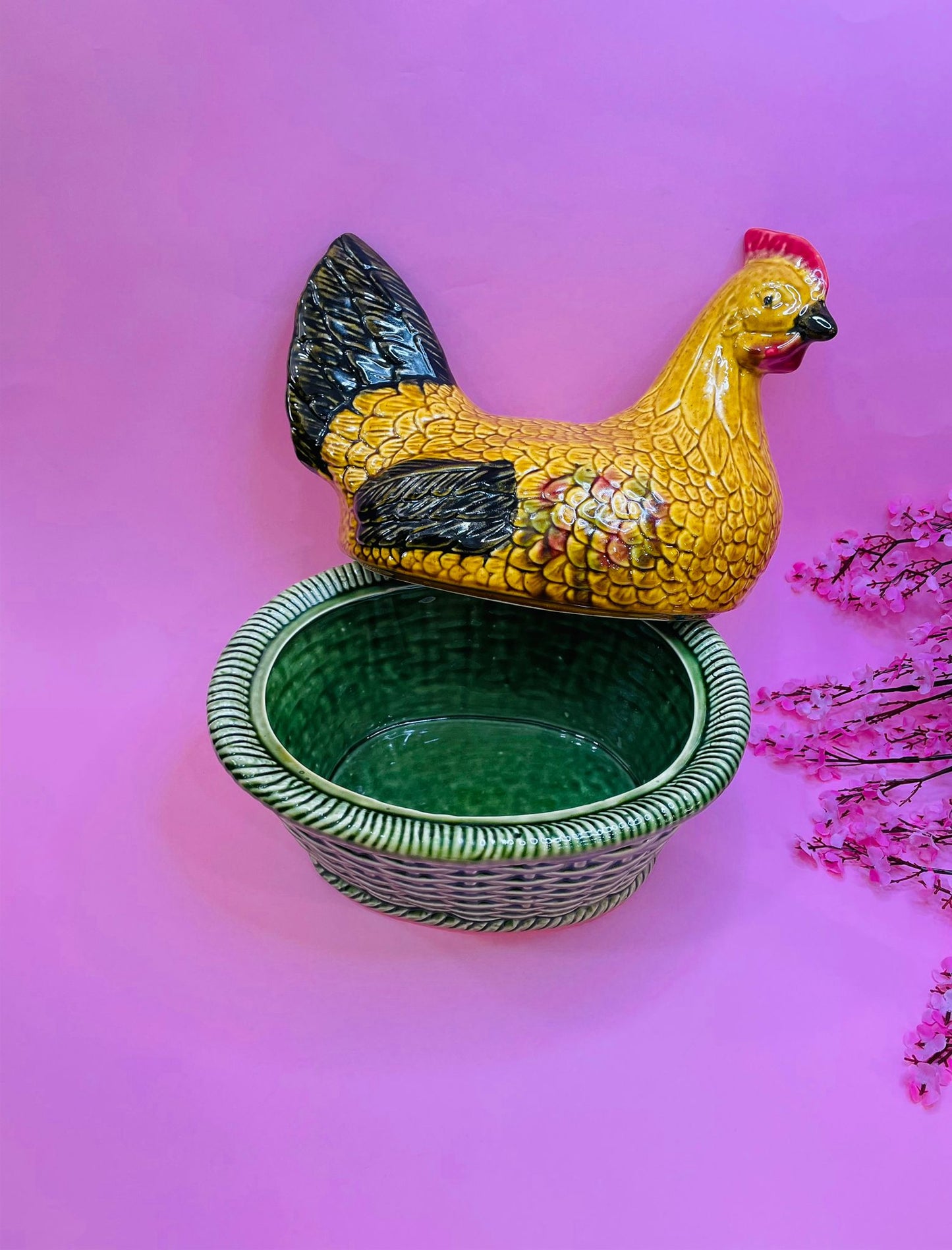 Gallina Huevera Grande