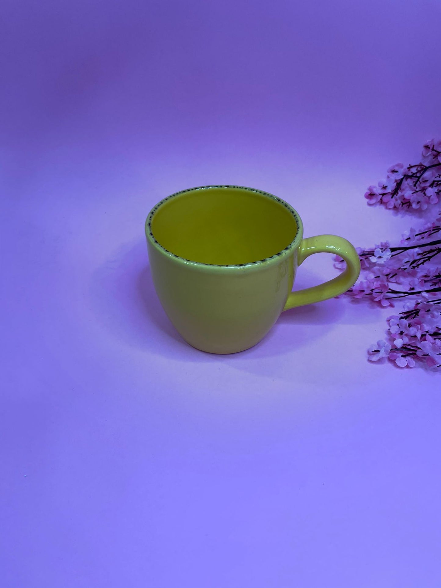 Taza Palana
