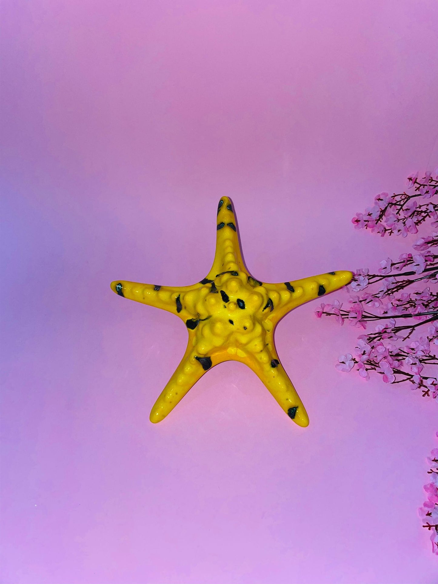 Estrella De Mar Cantábrica Mediana