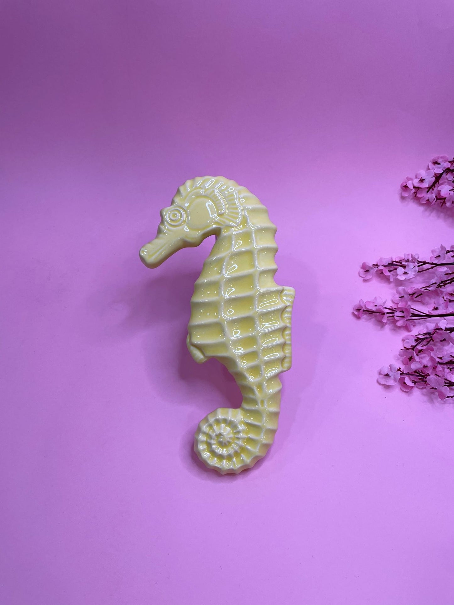 Caballito De Mar Romántico