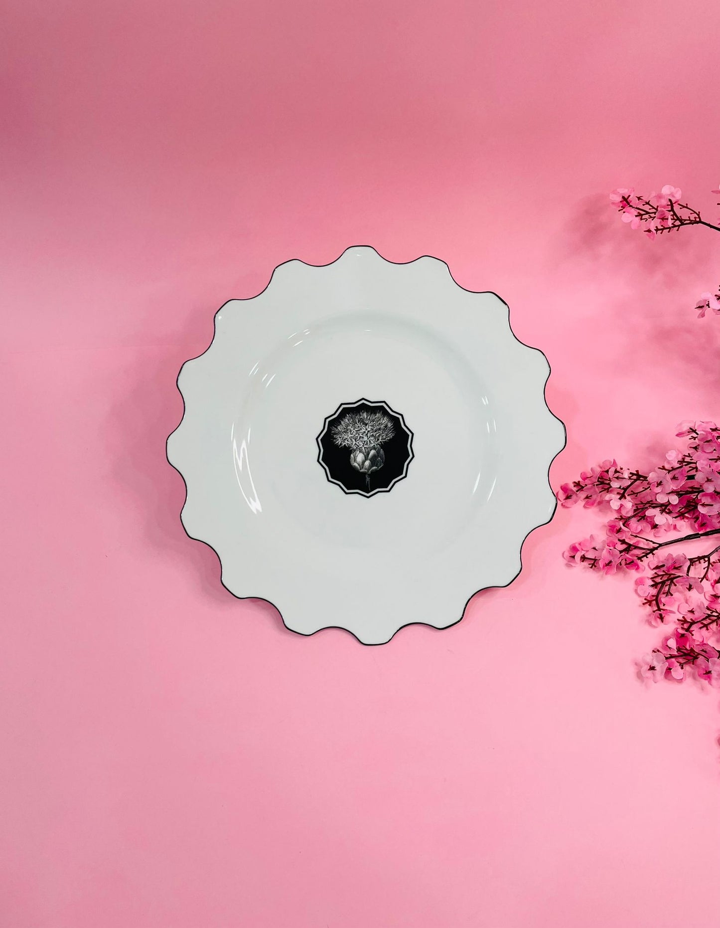 Plato Llano Herbariae