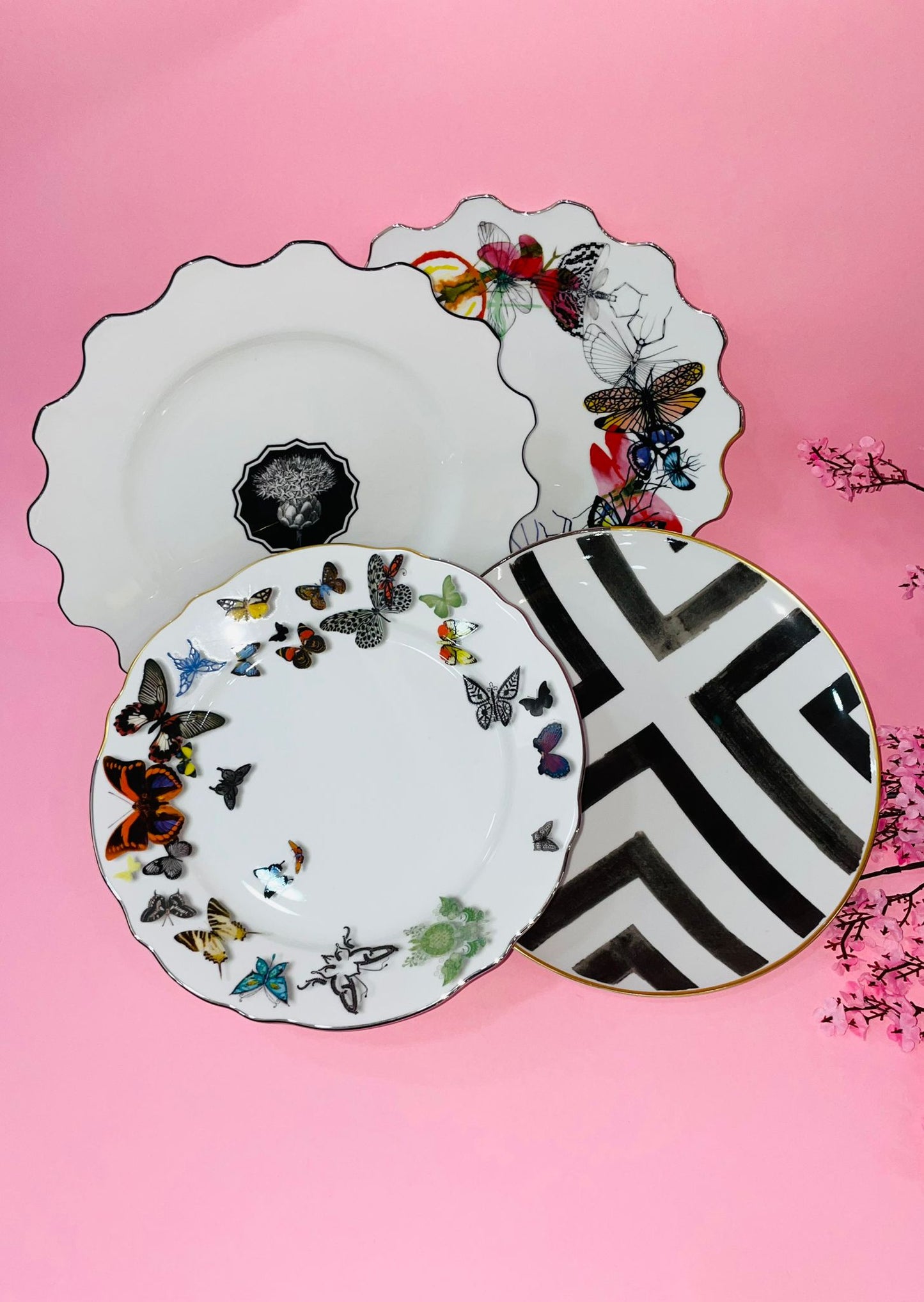 Plato Llano Herbariae