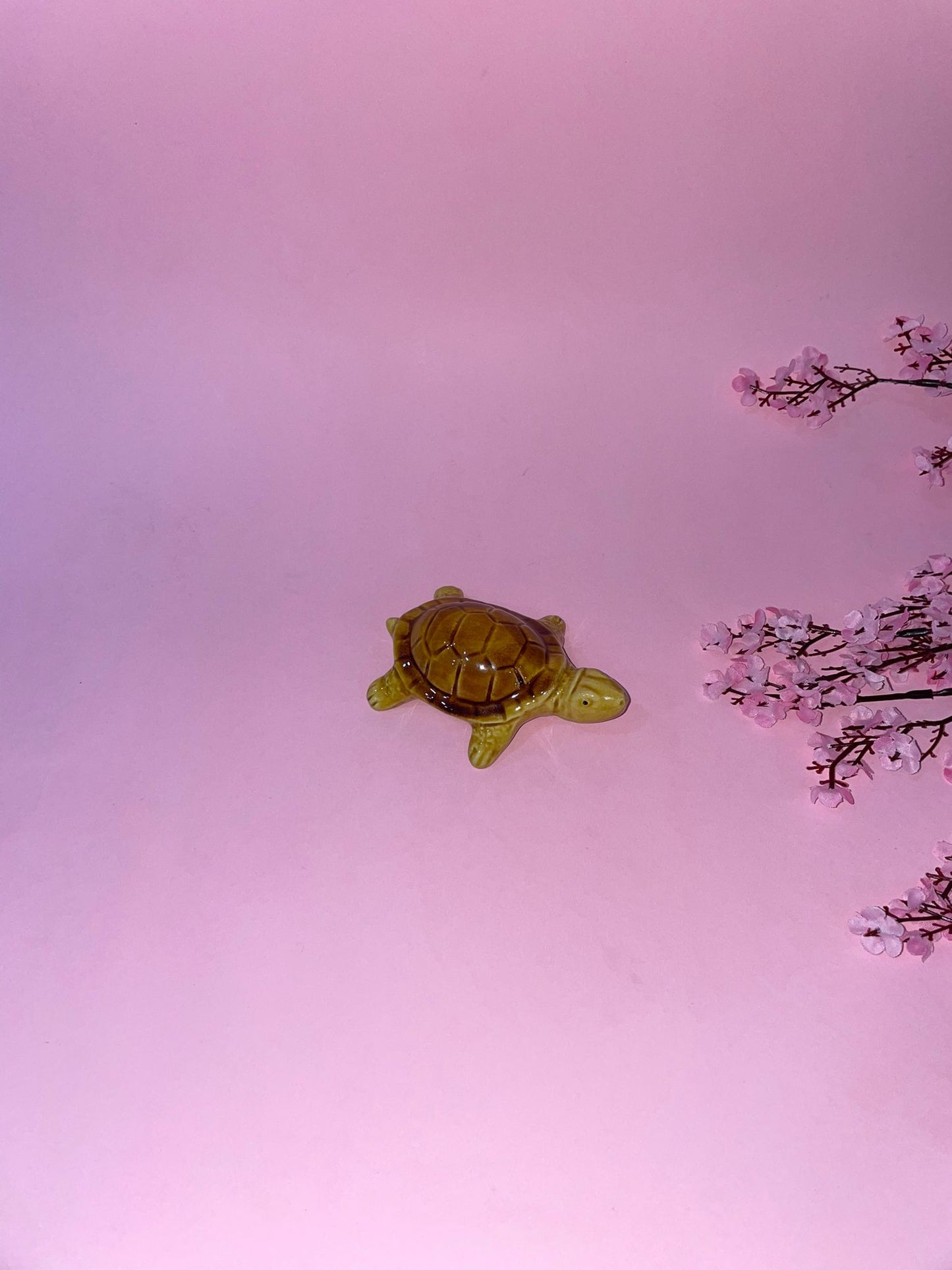 Figura de Tortuga Chepa en Cerámica