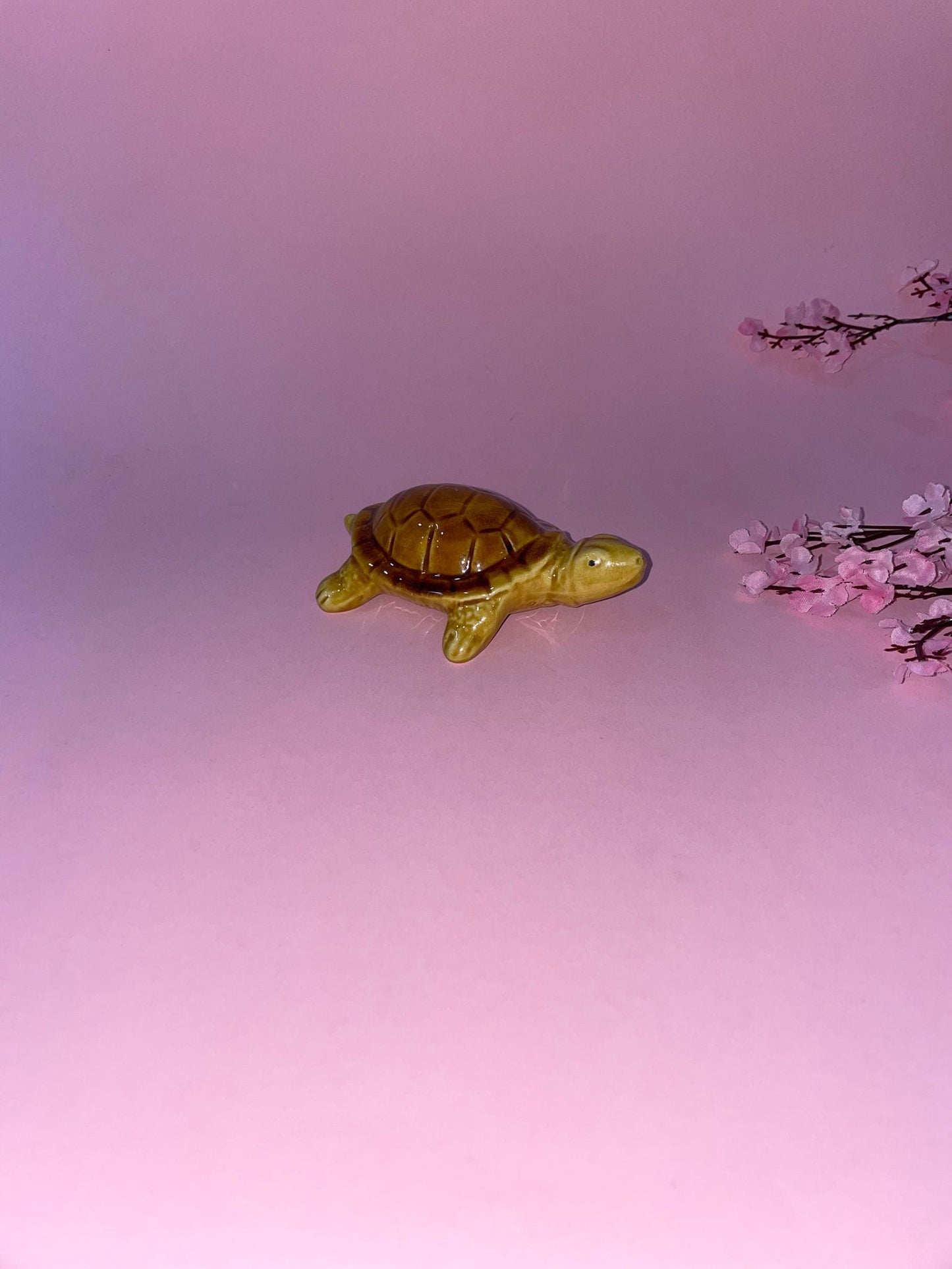 Figura de Tortuga Chepa en Cerámica