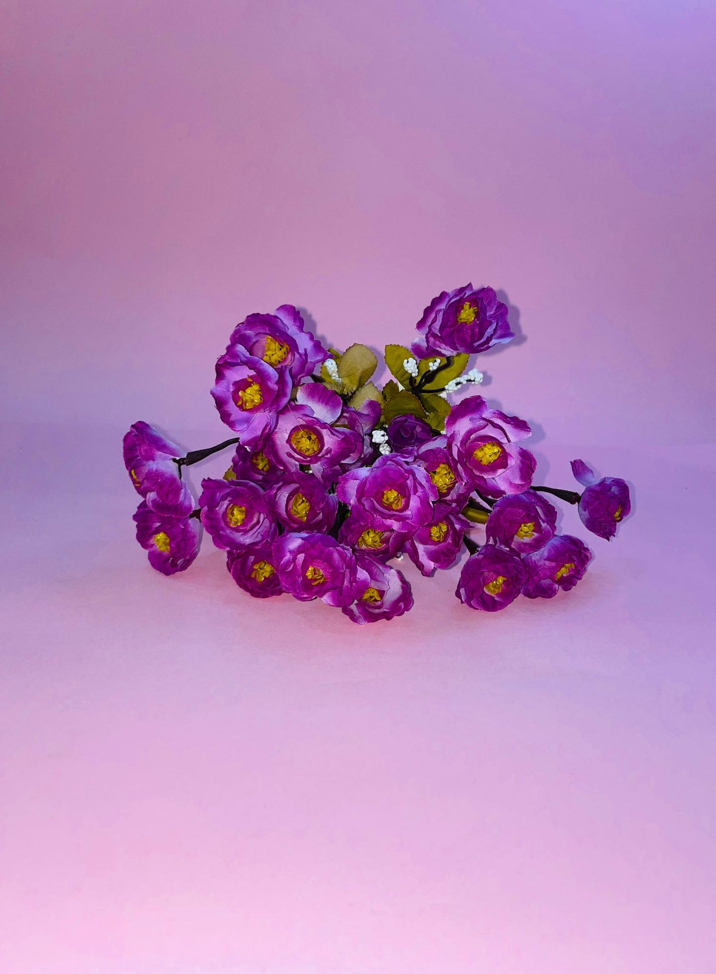 Flor Eustoma Grandiflorum