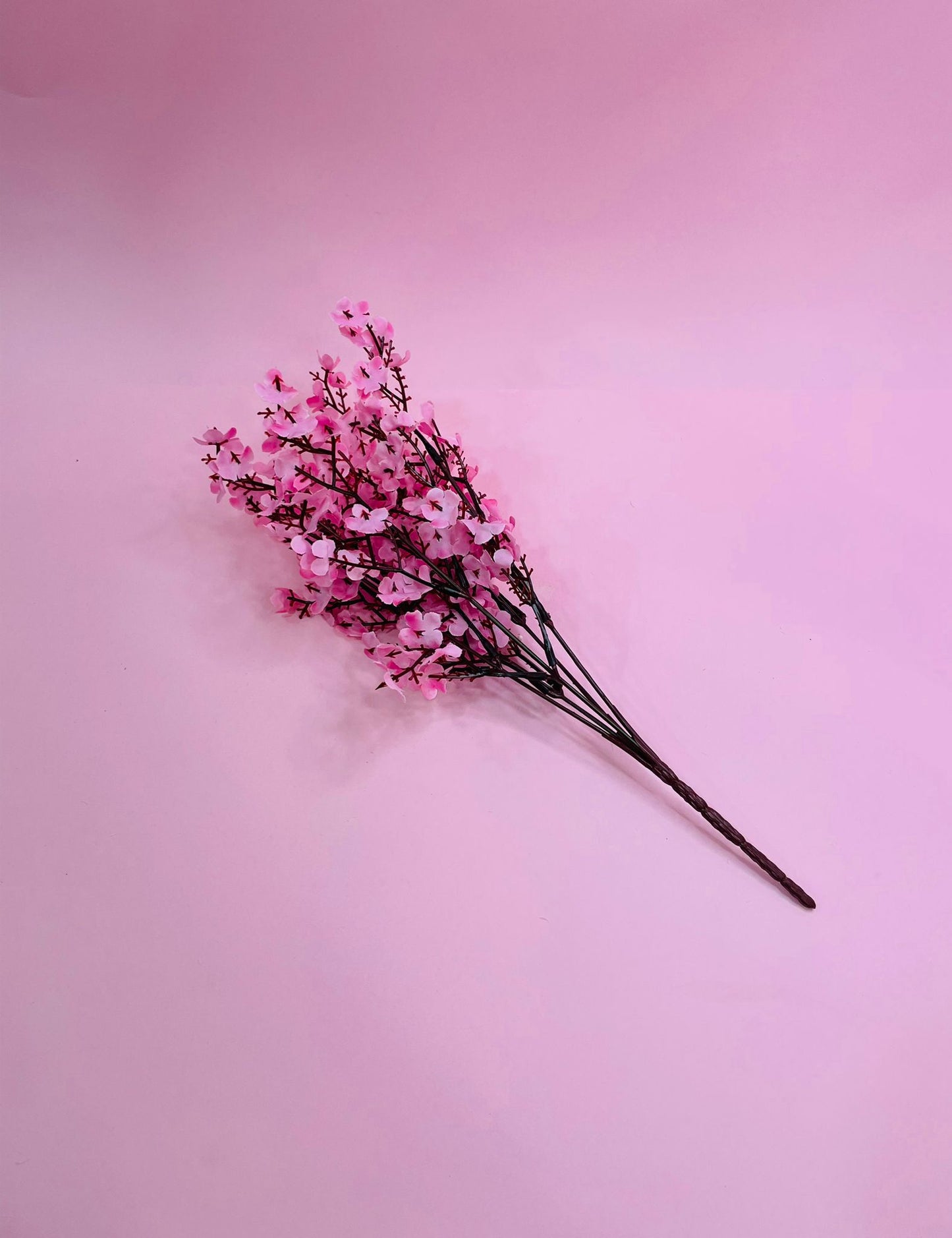 Flor Almendro