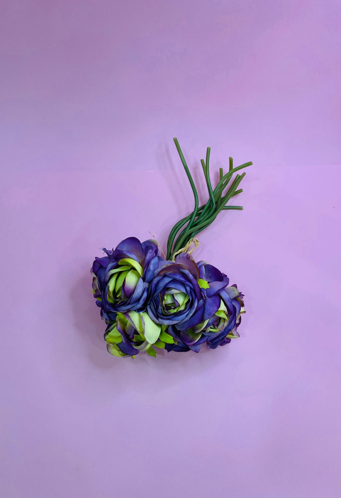 Flor Ranunculus