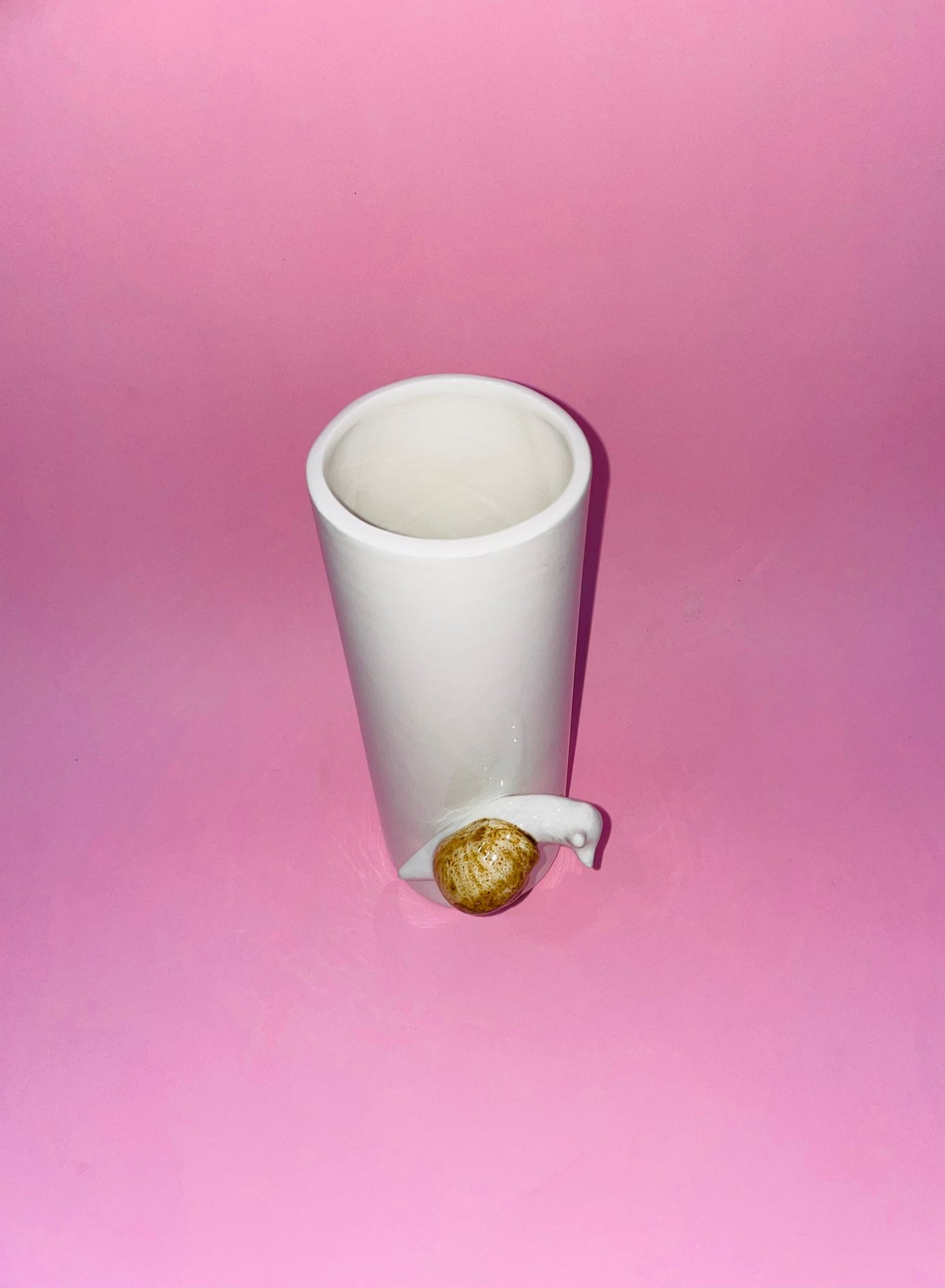 Florero Caracol