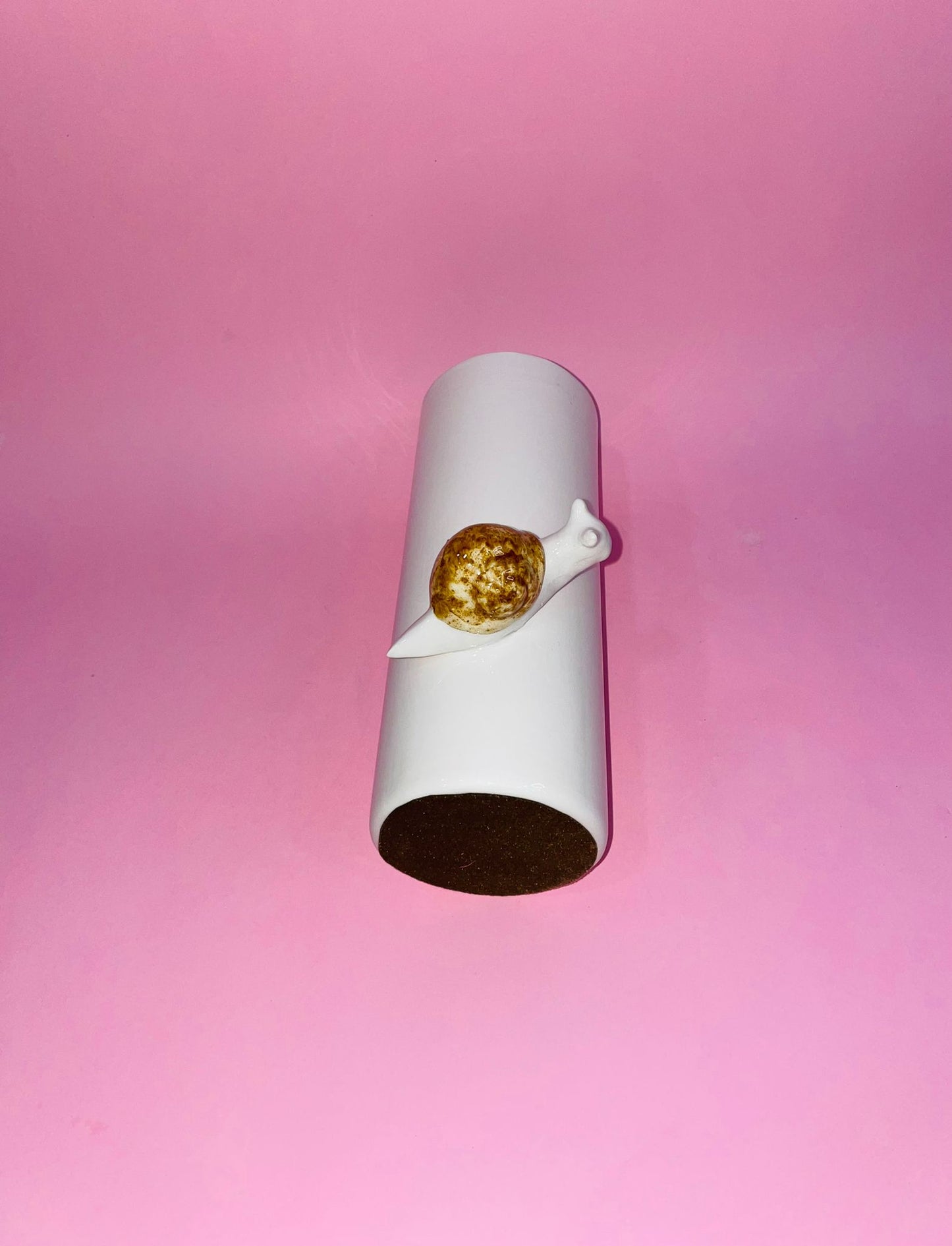 Florero Caracol