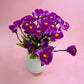Flor Eustoma Grandiflorum